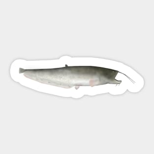 Wels Catfish Sticker